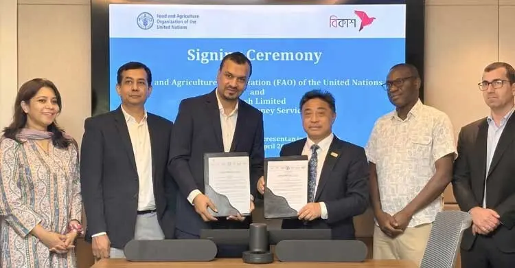 দ্রুত ক্যাশ সহায়তা-প্রণোদনা বিতরণে এফএওর সঙ্গে বিকাশের চুক্তি