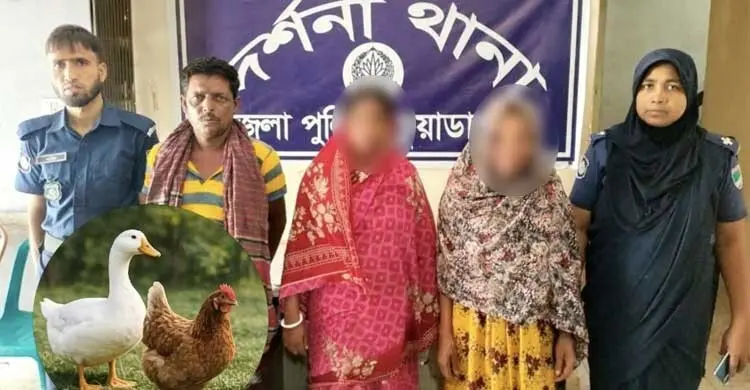 দর্শনায় হাঁস-মুরগি চুরি, নারীসহ আটক ৩