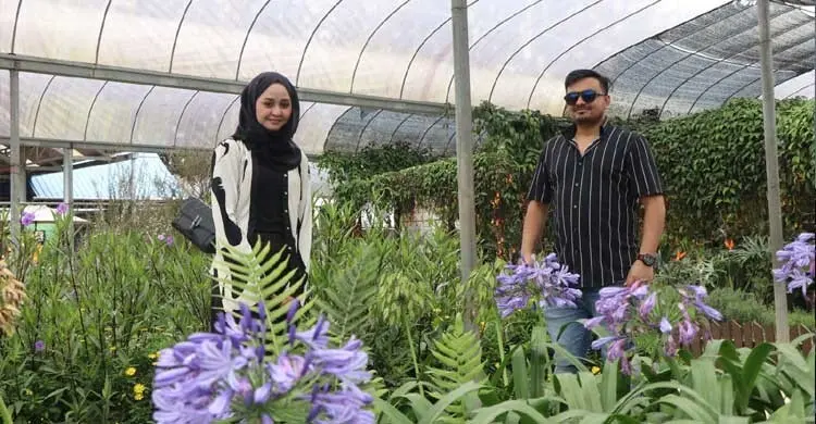 মালয়েশিয়ার কৃষিতে এআইভিত্তিক স্টার্টআপ, উদ্যোক্তা দুই বাংলাদেশি