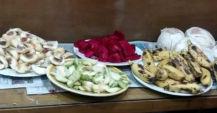 এলআরএফের ফল উৎসব
