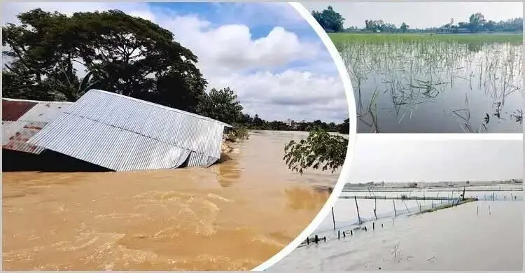 চট্টগ্রামসহ বিভিন্ন জেলায় প্লাবিত এলাকা থেকে নামছে পানি