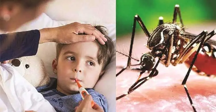 জ্বর ছাড়লেই ডেঙ্গুর আসল বিপদ! ডা. নোবেলের সতর্কবার্তা