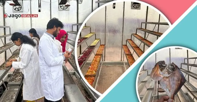 শুঁটকি শুকানো নিয়ন্ত্রণ করা যাবে অ্যাপেই