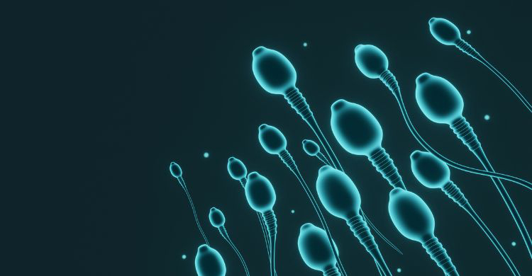 ঘুমের অভাবে কমে যেতে পারে শুক্রাণুর কোয়ালিটি