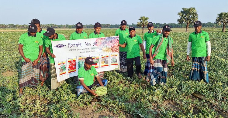 ফরিদপুরে তরমুজের ফলনে রেকর্ড