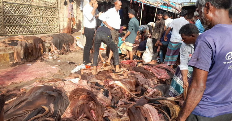 চাহিদা মাফিক চামড়া আসেনি আতুরার ডিপোতে