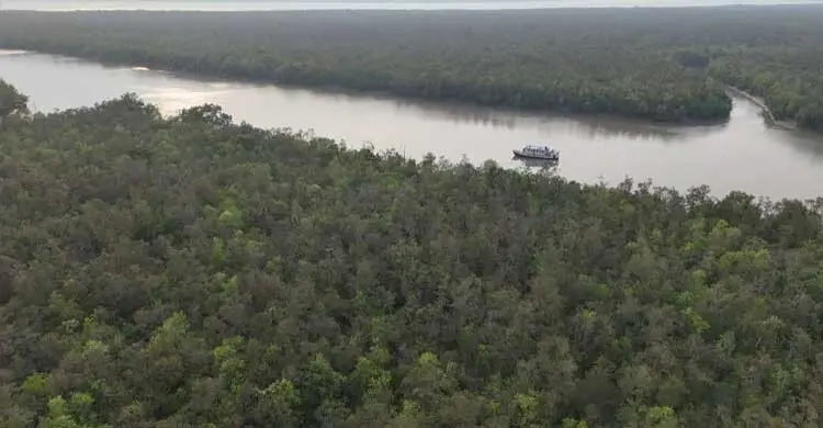 ঝড়ে সুন্দরবনে নৌকাডুবি, নিখোঁজ ৪ মৌয়াল
