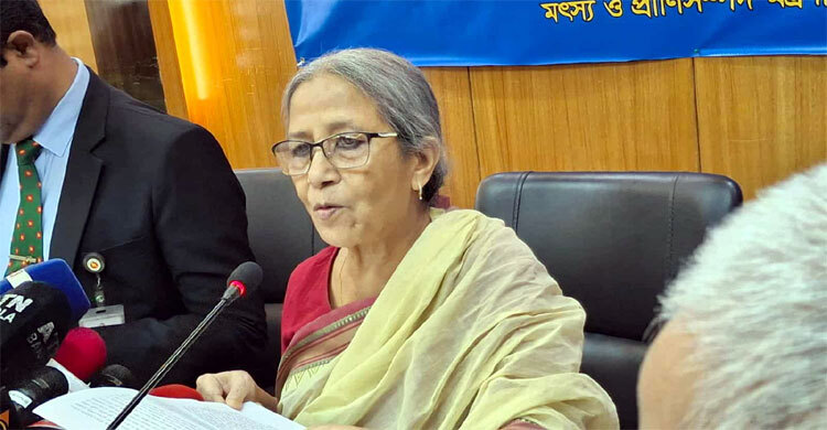 ইলিশের দাম বেশি হওয়ার যে কারণ জানালেন উপদেষ্টা