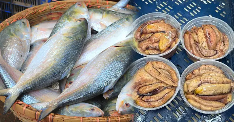 বাড়লো চাঁদপুরের ইলিশের ডিমের দাম, কেজি ৬০০০ টাকা
