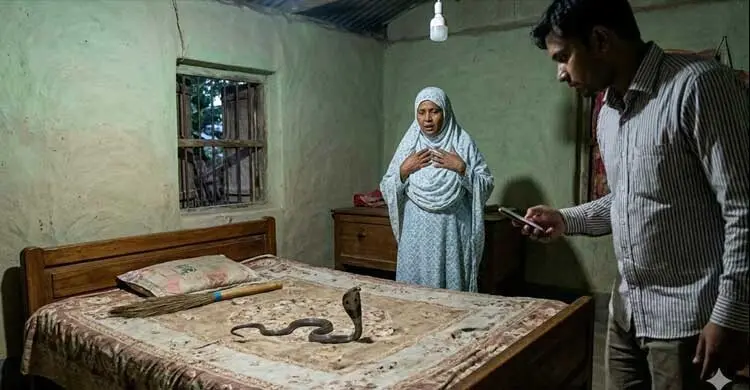 সাংবাদিকের ঘরে গোখরা সাপ, অল্পের জন্য রক্ষা