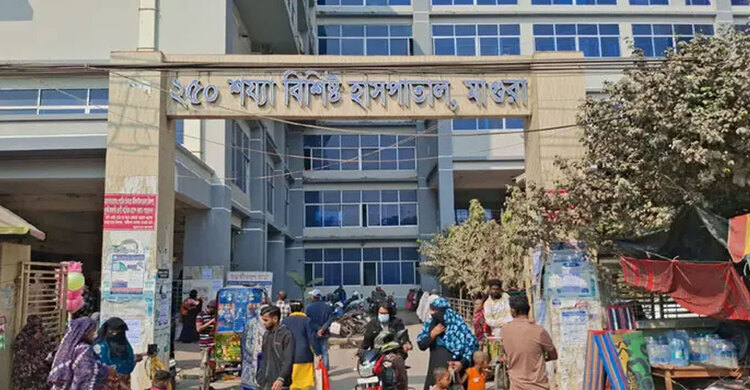 মাগুরায় মাথায় গাছের ডাল পড়ে মোটরসাইকেল আরোহী নিহত