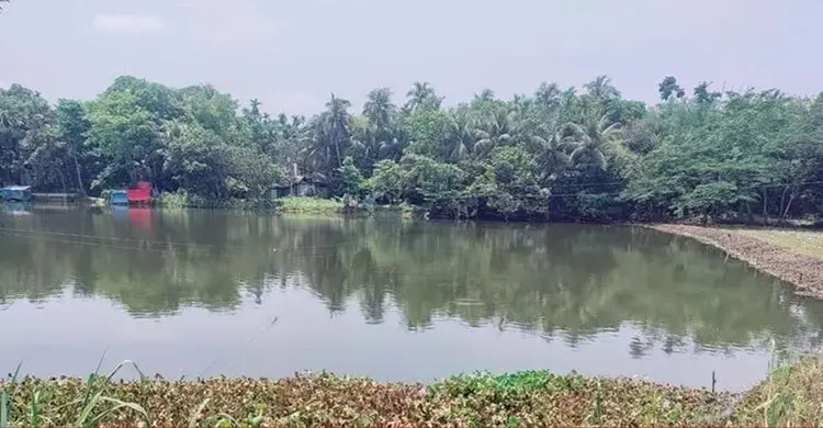 গভীর রাতে সরকারি দিঘীর মাছ ধরে নিয়ে গেলো সহকারি কমিশনার !