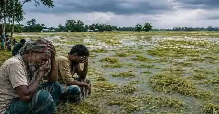 কিশোরগঞ্জে বেড়েছে নদ-নদীর পানি, তলিয়ে গেছে ৬ হাজার হেক্টর জমির ধান