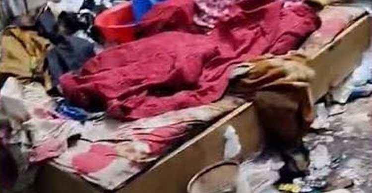 এ কেমন সফল সন্তান?