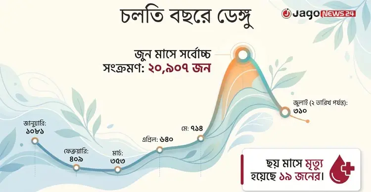 বছরের ৮-৯ মাসই দেশজুড়ে ডেঙ্গুর দাপট, বদলেছে মশার চরিত্র