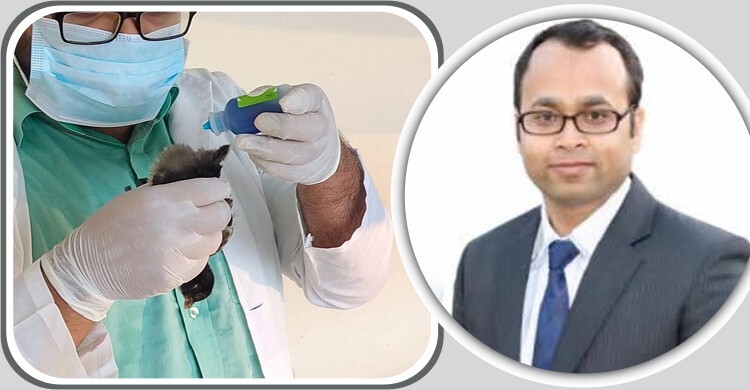 মুরগির ক্লোয়াকায় টিকা প্রয়োগে দেড়গুণ বেশি অ্যান্টিবডি