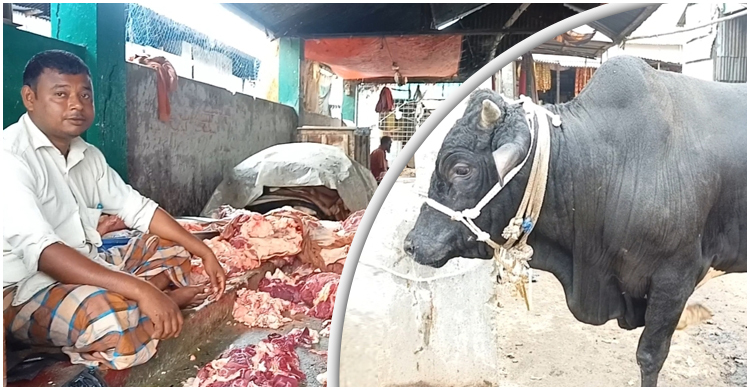 লালমনিরহাটে গরুর মাংস ৫৪০ টাকা কেজি, মাইকিং করে বিক্রি