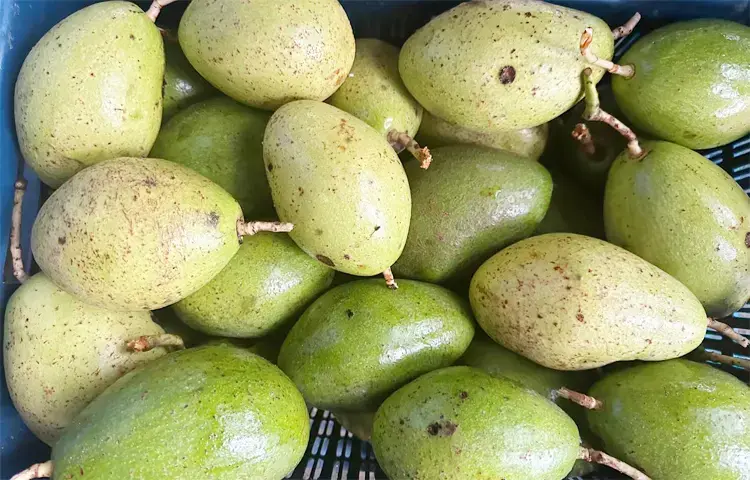 জনপ্রিয় হচ্ছে দেশে উৎপাদন হওয়া বিদেশি ফল