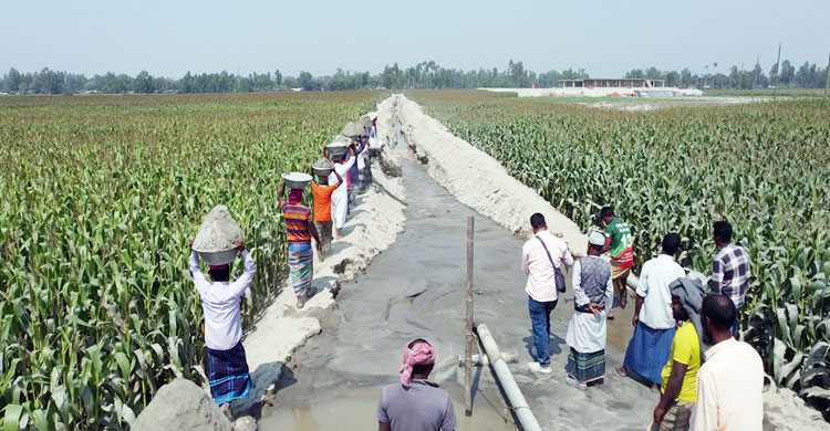 দুঃখ ঘোচাতে নিজ উদ্যোগে গ্রামবাসীর বাঁধ নির্মাণ