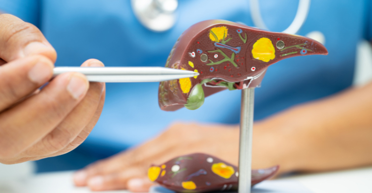 হেপাটাইটিস কি নীরবে লিভার নষ্ট করে দিতে পারে