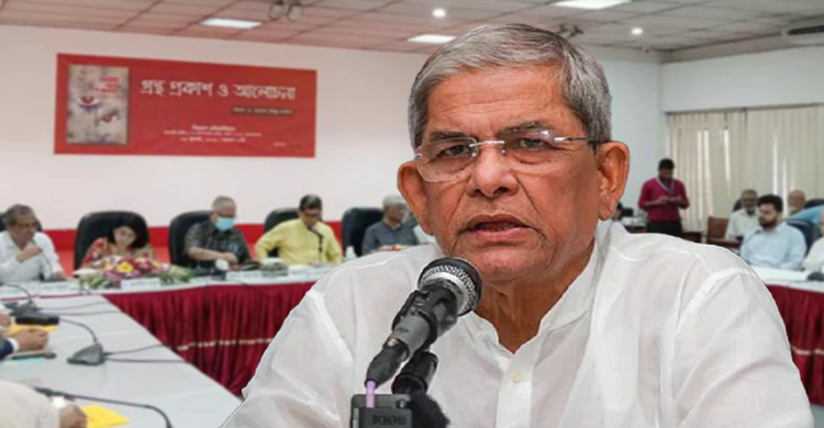 দেশের কোথাও কোনো সুশাসন ও নিয়ন্ত্রণ নেই: মির্জা ফখরুল