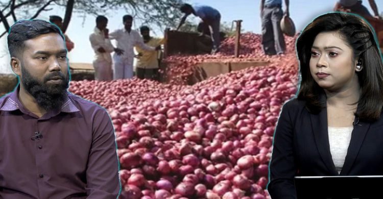 বাংলাদেশ কি এবার সত্যিই পেঁয়াজে স্বয়ংসম্পূর্ণতার পথে?