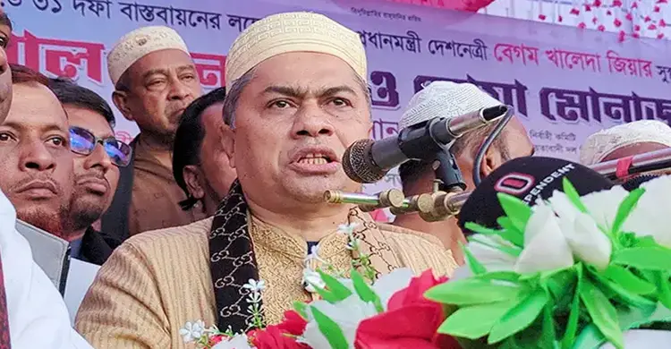 জোটকে আসন দেওয়া মানে জামায়াতকে আসন দেওয়া: হাসান মামুন