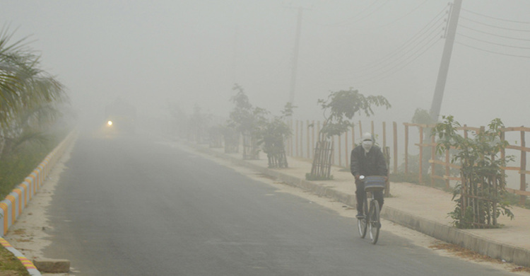 বড়দিনের আগেই পশ্চিমবঙ্গে জেঁকে বসেছে শীত