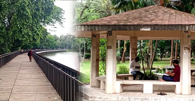 যান্ত্রিক ঢাকার বুকে কেন প্রতিদিনই শত শত মানুষ ছুটে যান রমনা পার্কে?