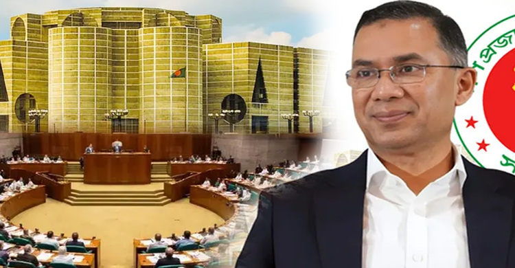 তারেক রহমানের নেতৃত্বে কেমন হতে পারে বিএনপির মন্ত্রিসভা?