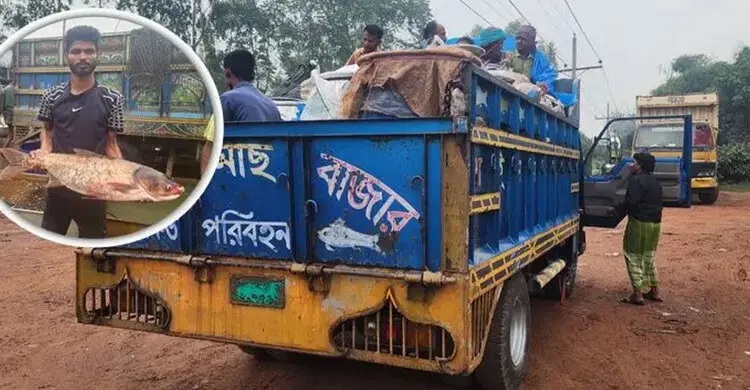 ৭ হাজার টাকা পর্যন্ত বেড়েছে ট্রাকভাড়া, বাড়ছে মাছের দাম
