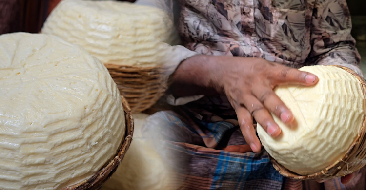 জিআই সনদে পনিরের কদর বাড়ছে | Austagram cheese