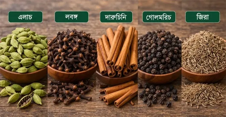 গরম মসলা