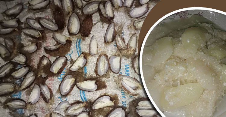 বরিশালের বিখ্যাত তাল ফোঁপরার মোরব্বা বানান সহজে