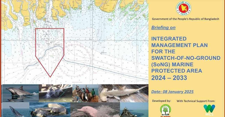 Govt finalises plan to protect marine biodiversity: Rizwana