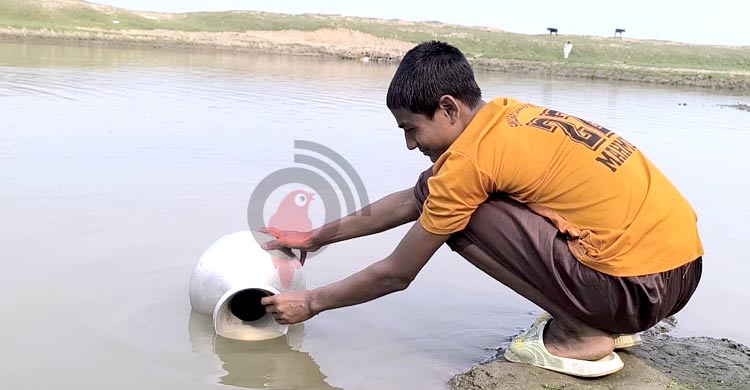 বেশিরভাগ নলকূপে মিলছে না পানি, সুনামগঞ্জে হাহাকার