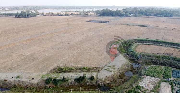 উপকূলে বাড়ছে লবণাক্ততা কমছে কৃষিজমি