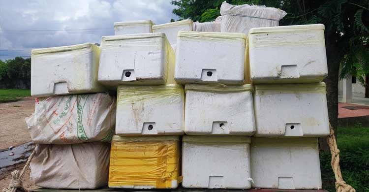 জটিলতা কাটিয়ে আগরতলায় মাছ রপ্তানি শুরু