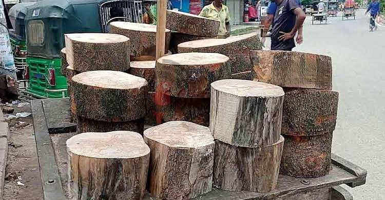 কোরবানির ঈদ এলেই চাহিদা বাড়ে তেঁতুল গাছের খাটিয়ার