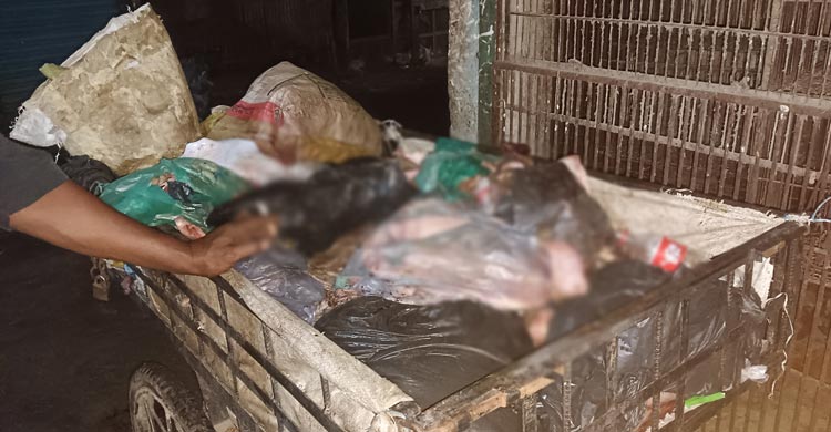 পশুর হাড়-শিং ও অণ্ডকোশ থেকে কোটি টাকার ব্যবসা