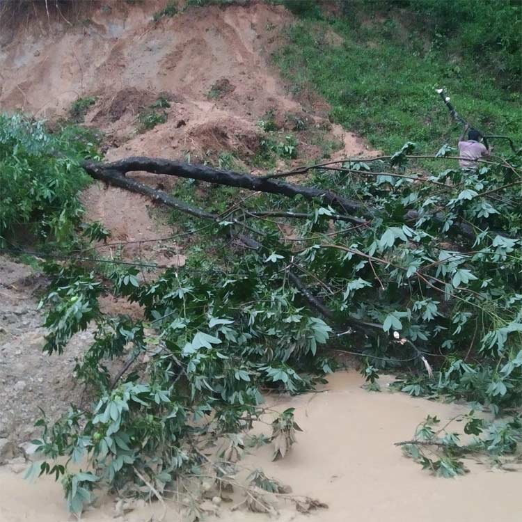 মৌলভীবাজারে সড়কের ওপর ধসে পড়লো পাহাড়