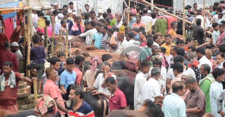 বাস্তবায়ন নেই সরকারি নির্দেশনার, কয়েকগুণ বেশি হাসিল আদায়