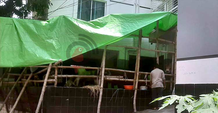 ঢাকার অট্টালিকা এখন গোয়ালঘর!