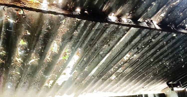 জরাজীর্ণ আশ্রয়ণ প্রকল্পের ঘর, বৃষ্টিতে পলিথিনে ভরসা