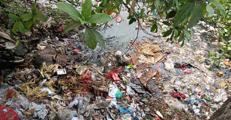 দখলে-দূষণে অস্তিত্ব সংকটে রহমতখালী খাল