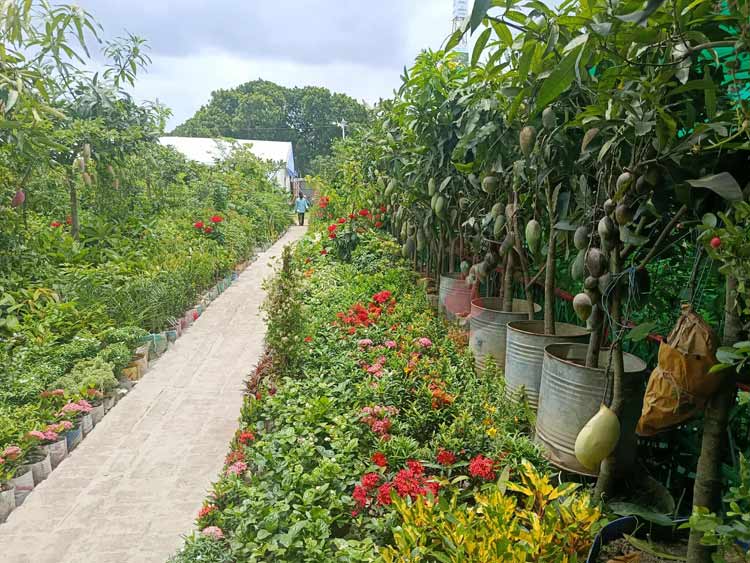 মেলা শুরু, পাওয়া যাচ্ছে হাজার প্রজাতির বৃক্ষ