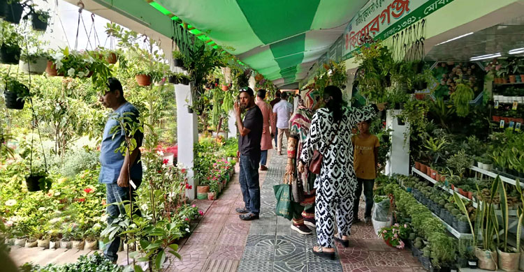 বৃক্ষমেলায় ‘বিলুপ্তপ্রায়’ যত গাছ