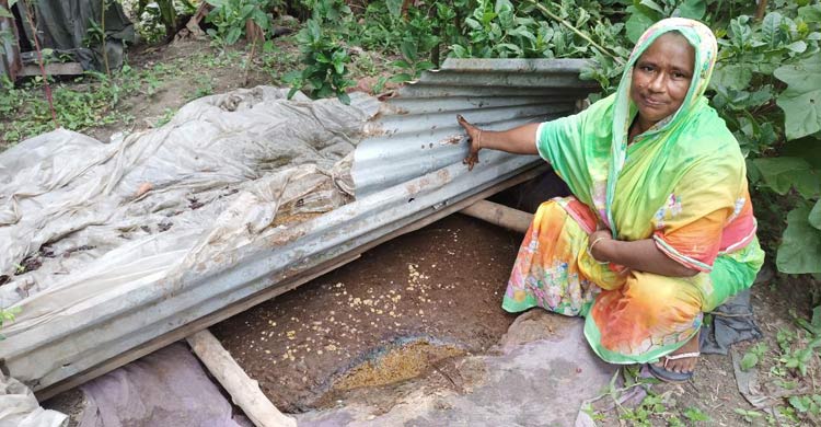 কেঁচো সারে স্বাবলম্বী মাদারীপুরের রাশিদা