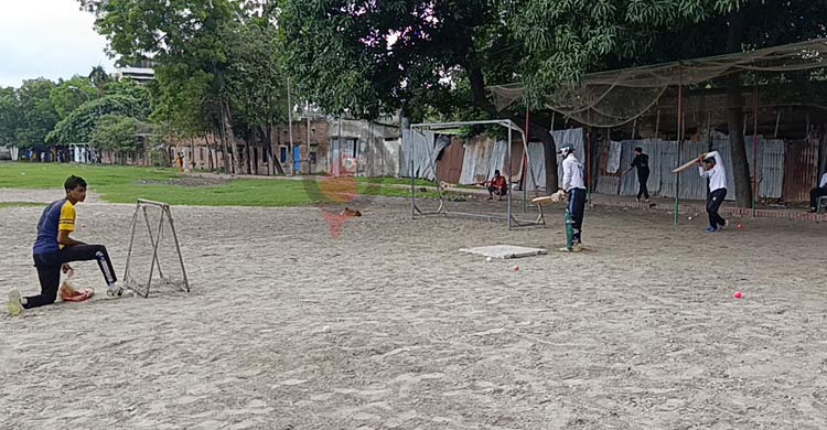 নিজের খেয়ে বনের মহিষ তাড়ায় বেসরকারি ক্রিকেট অ্যাকাডেমি