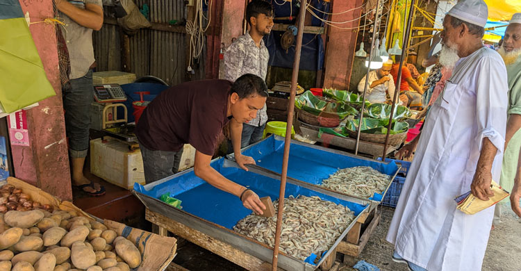 চড়া বাজারে নিম্ন-মধ্যবিত্ত আয়ের মানুষের ভরসা এখন চিংড়ি